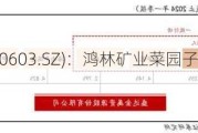 盛达***(000603.SZ)：鸿林矿业菜园子铜金矿自即日起复工