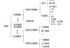 TSR胶的应用领域是什么？这种应用对市场有何影响？