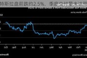 特斯拉盘前跌约2.5%，季度交付量未达预期