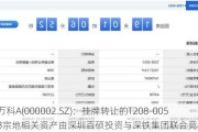 万科A(000002.SZ)：挂牌转让的T208-0053宗地相关资产由深圳百硕投资与深铁集团联合竞得