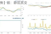 【市场聚焦】锡：静观其变