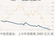 中短债基金：上半年规模增 2880 亿元 规模激增