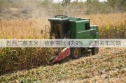 巴西二茬玉米：收割率达 47.9%，远超去年同期