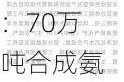 云图控股：70万吨合成氨项目主体工程建设已进入实质性阶段