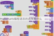 Multicharts编程语言的选择是什么