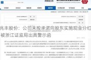 兆丰股份：公司未按承诺向股东实施现金分红 被浙江证监局出具警示函