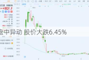 南方锰业盘中异动 股价大跌6.45%