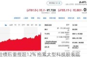 特斯拉绩后重挫超12% 拖累大型科技股表现