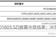 乔锋智能(301603.SZ)披露中签结果：中签号码共有2.415万个