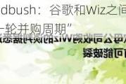 大行评级丨Wedbush：谷歌和Wiz之间未能达成交易可能“开启一轮并购周期”