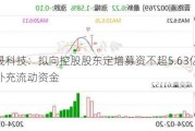 国晟科技：拟向控股股东定增募资不超5.63亿元 用于补充流动资金