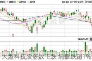 大型科技股多数下跌 纳指跌超1%