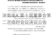 深南电A:第十届董事会第二次临时会议决议公告