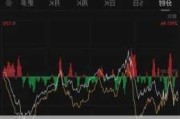 比亚迪股份盘中异动 股价大涨5.03%报217.000港元