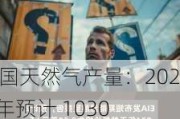 美国天然气产量：2024 年预计 1030 亿立方英尺/日，2025 年预计 1050 亿立方英尺/日