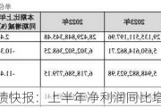 宝丰能源业绩快报：上半年净利润同比增长46.41%