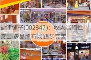 盐津铺子(002847)：收入端韧性突出 多品牌布局逐步完善