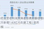 康缘药业营收利润双降差旅费却翻倍增长 与关联方新增1.63亿元在建工程 | 医药半年报