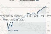 中欧责任投资混合A：净值下跌1.13%，近6个月收益率达8.56%