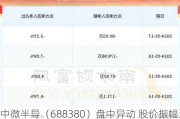 中微半导（688380）盘中异动 股价振幅达7.13%  上涨6.47%（06-13）