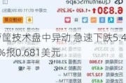 箩筐技术盘中异动 急速下跌5.40%报0.681美元