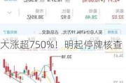 大涨超750%！明起停牌核查