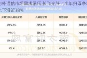 国内外通信市场需求承压 长飞光纤上半年归母净利润同比下滑近38%