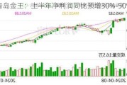 青岛金王：上半年净利润同比预增30%-50%