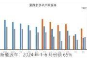 中国新能源车：2024 年 1-6 月份额 65%