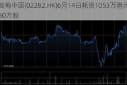 ***中国(02282.HK)6月14日耗资1053万港元回购80万股