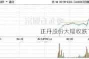 正丹股份大幅收跌17.25%