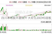 四川本地股开盘拉升 大宏立20CM3连板