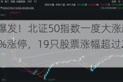 北交所，大爆发！北证50指数一度大涨超11%，8只股票一度30%涨停，19只股票涨幅超过20%，发生了什么？