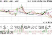 金瑞矿业：公司股票短期波动幅度较大 生产经营情况正常