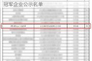 天力锂能入选2024年河南省制造业单项冠军企业公示名单