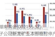 湖南黄金(002155.SZ)：子公司新龙矿业本部临时停产