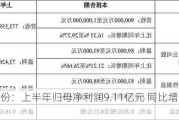 兆驰股份：上半年归母净利润9.11亿元 同比增长24.04%