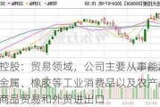 远大控股：贸易领域，公司主要从事能源化工、金属、橡胶等工业消费品以及农产品等大宗商品贸易和外贸进出口