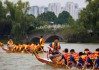 京台大学生北京聚首，将同心协力划龙舟