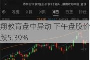 丽翔教育盘中异动 下午盘股价大跌5.39%