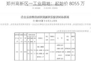 郑州高新区一工业用地：起始价 8055 万