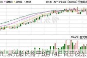 注意！宝光股份将于8月14日召开股东大会