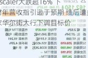 Zscaler大跌超16% 下财年营收指引逊于预期 绩后遭多家华尔街大行下调目标价