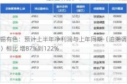 华锡有色：预计上半年净利润与上年同期（追溯调整后）相比 增87%到122%