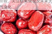 红枣-新季灰枣进入生长关键阶段，关注稳果情况及未来天气变化