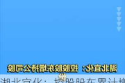 湖北宜化：控股股东累计增持1.6%股份，增持实施完毕