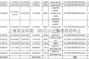 上海实业环境：60 亿小公募债项目终止