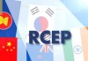 智利：提交加入 RCEP 申请