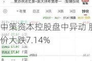 中策资本控股盘中异动 股价大跌7.14%