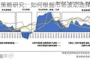 投资策略研究：如何根据市场波动选择投资时机